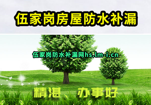 Ҹڷݷˮ©